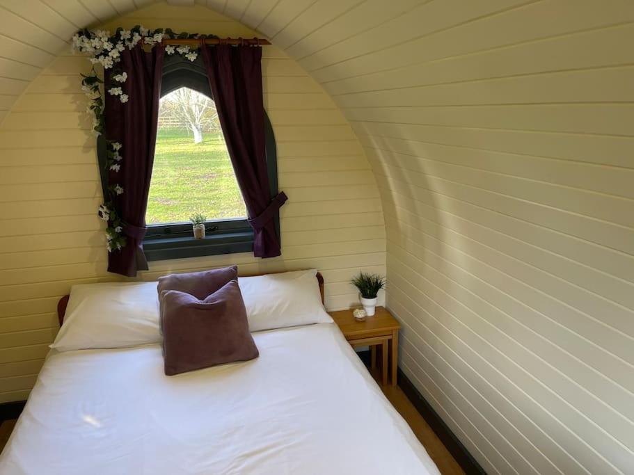 Belle Vista Glamping & Camping York Buitenkant foto
