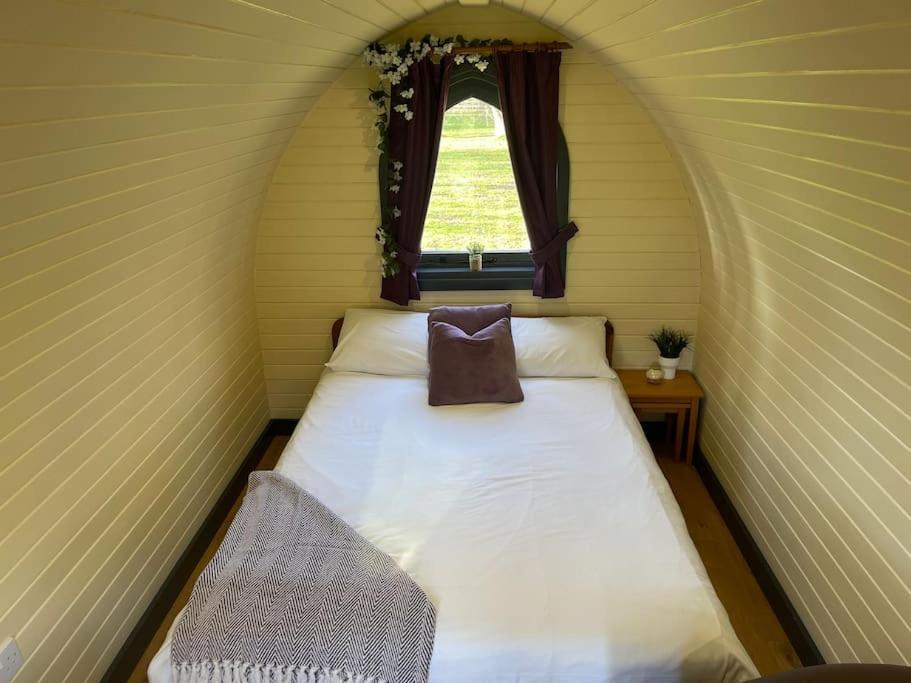 Belle Vista Glamping & Camping York Buitenkant foto