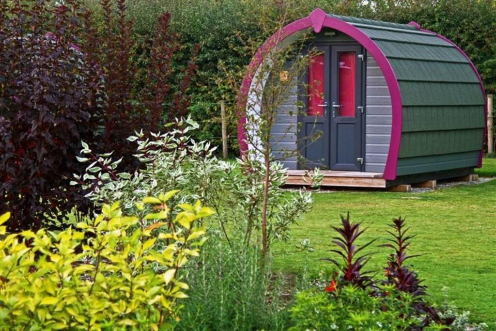Belle Vista Glamping & Camping York Buitenkant foto